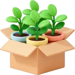 Checklist for moving with indoor plants