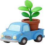 Checklist for moving with indoor plants